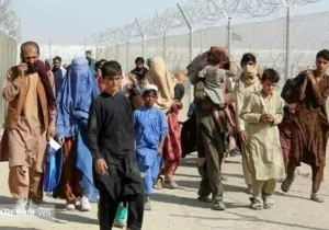 اتباع افغانی کارفرمایان را سوپرایز کردند