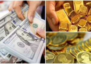 پیش بینی سود سکه های پیش فروش شده در ۱۴۰۴