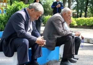 کلاه بزرگ بر سر بازنشستگان  | بسته‌های معیشتی تقلبی از آب در آمد!