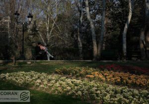 داستان ساخت پارک‌های محبوب تهران