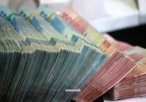 راهنمای جامع مدیریت سهمیه ارزی در واردات