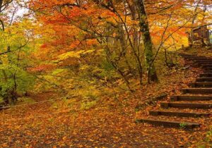 سفر پاییزی با خانواده؛ برنامه‌های خانوادگی و تفریحات پاییزی