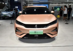 سقوط آزاد بی‌وای‌دی در ژانویه