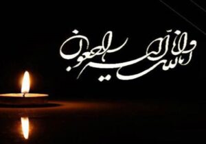پیام تسلیت رییس سازمان نظام پزشکی برای شهادت کادر درمان