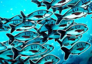 جریان سرمایه (Money Flow) از بورس‌های آسیایی به بازار کریپتو