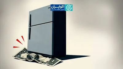 یخچال از روی دلار رد شد