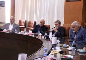 مرندی: سلامت عمومی تنها به «درمان» محدود نمی‌شود